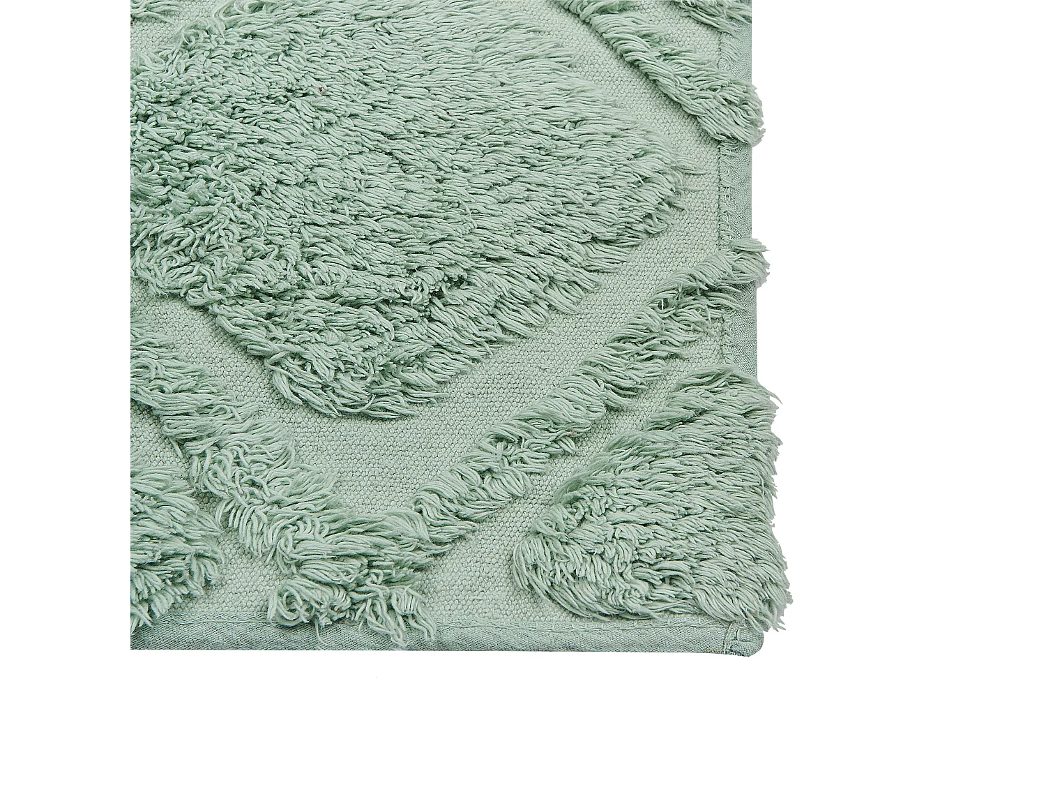 Tapis HATAY Vert clair 160 x 230 cm Coton