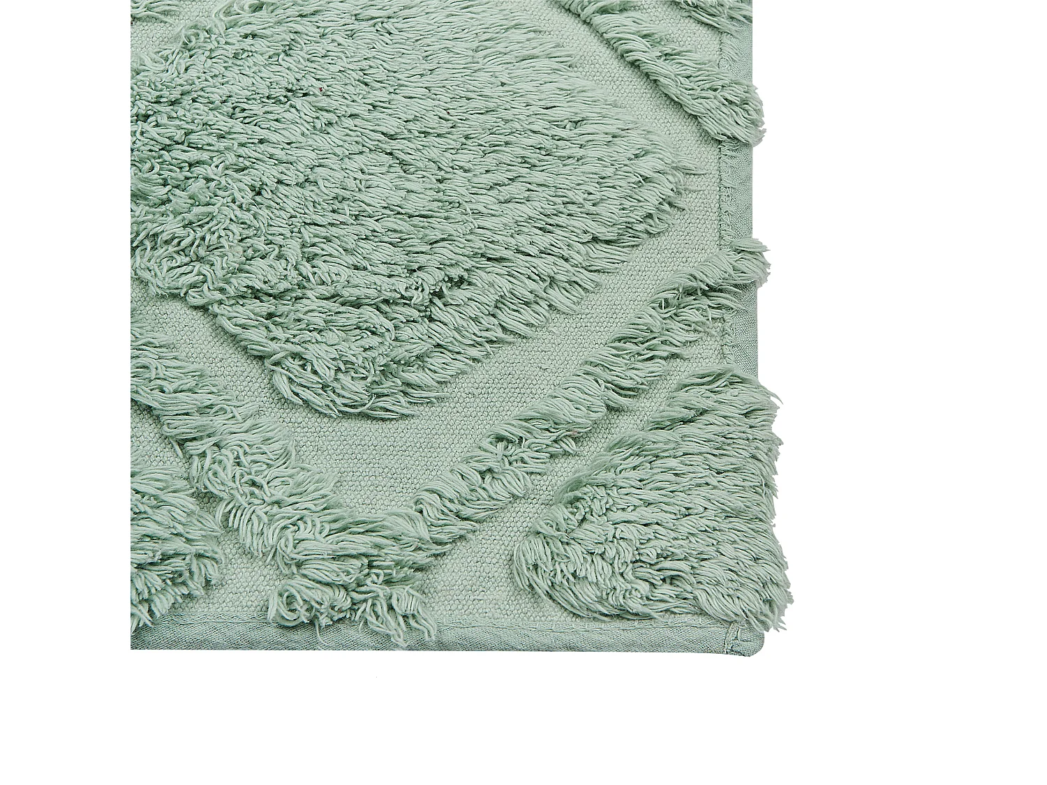 Tapis HATAY Vert clair 160 x 230 cm Coton