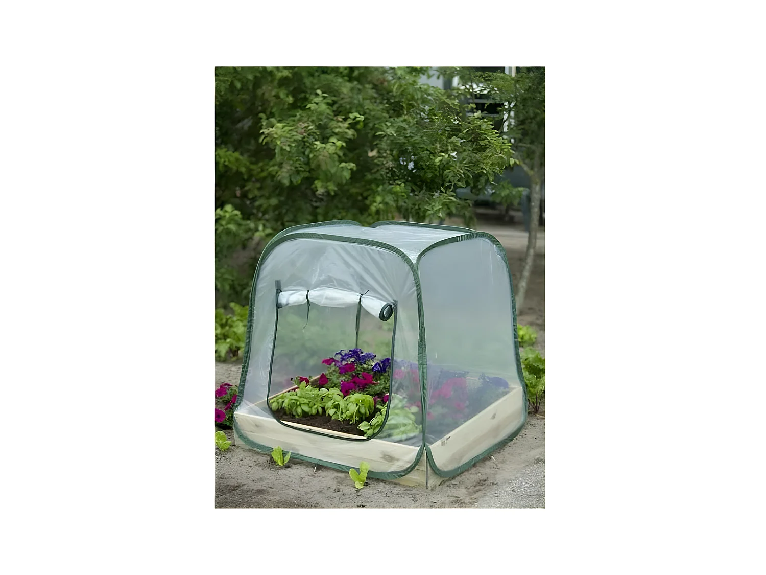 Serre pop-up Nature