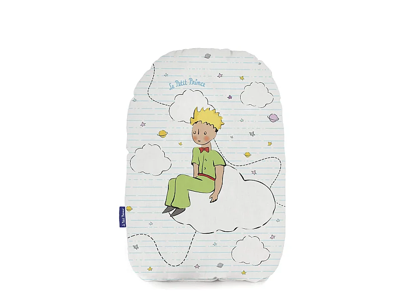 Cojín 40x30 cm Voyageur