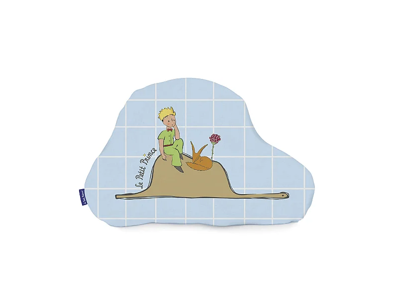 Cojín 40x30 cm Imagination