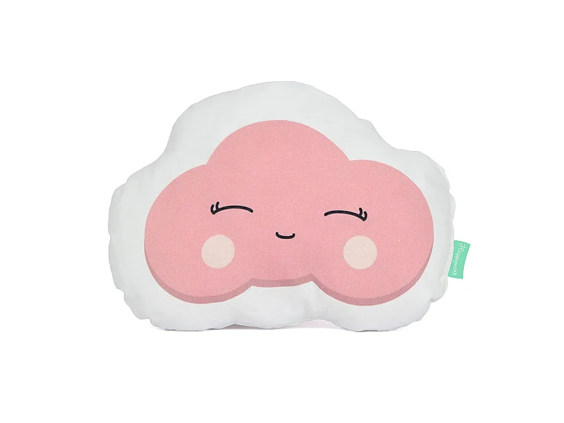 Cojín 40x30 cm Learning to fly