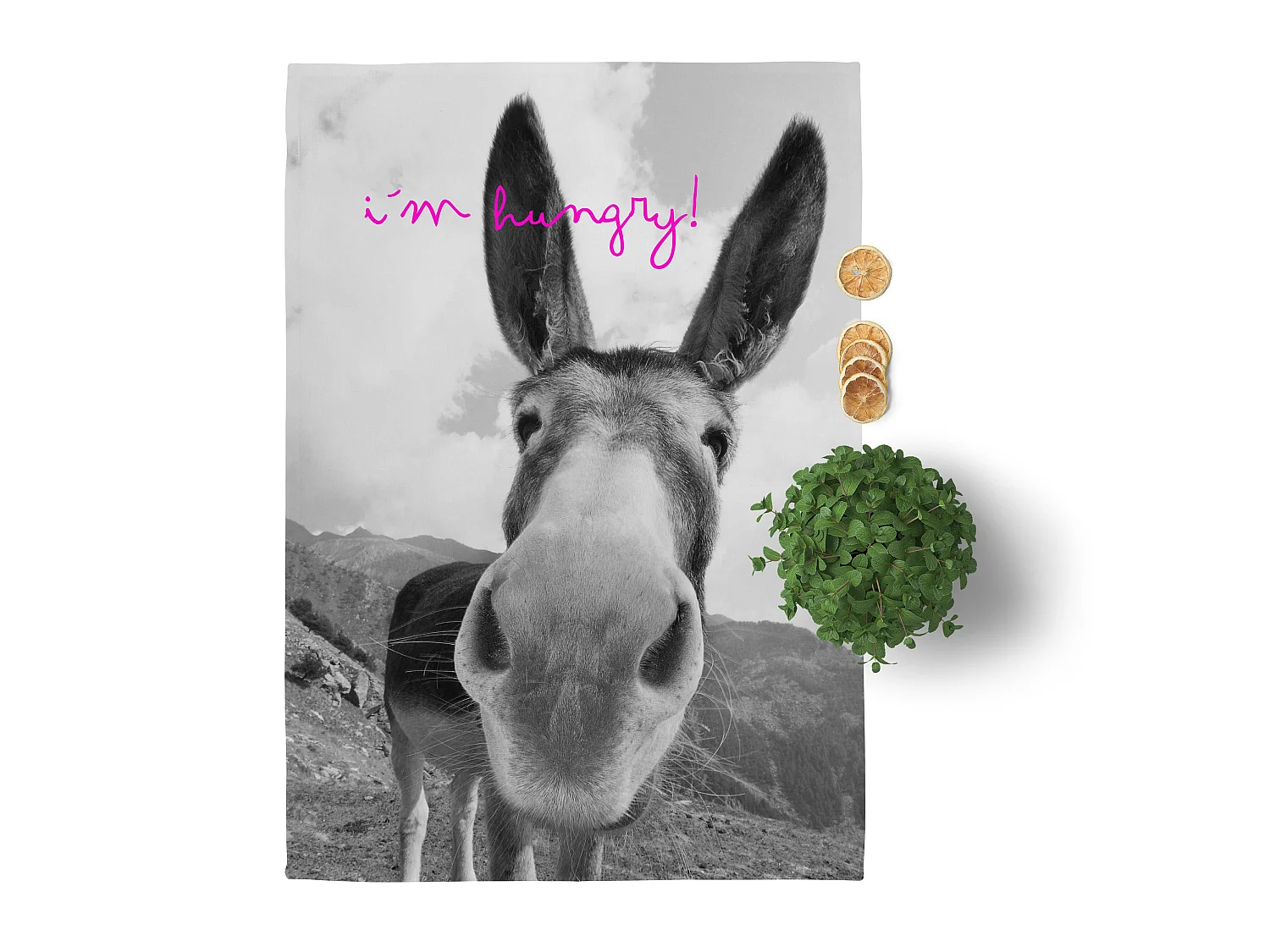 Geschirrtuch (2 tlg) 70x50 cm Farm