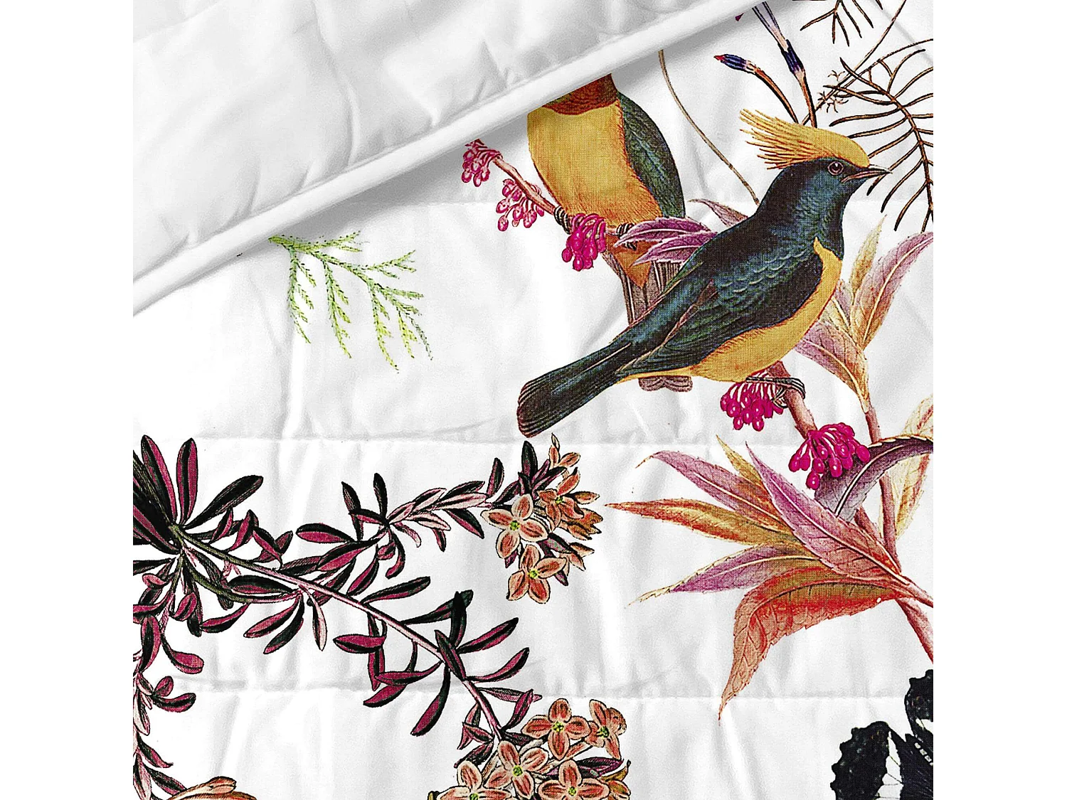Couvre-lit 270x260 cm Birds of paradise
