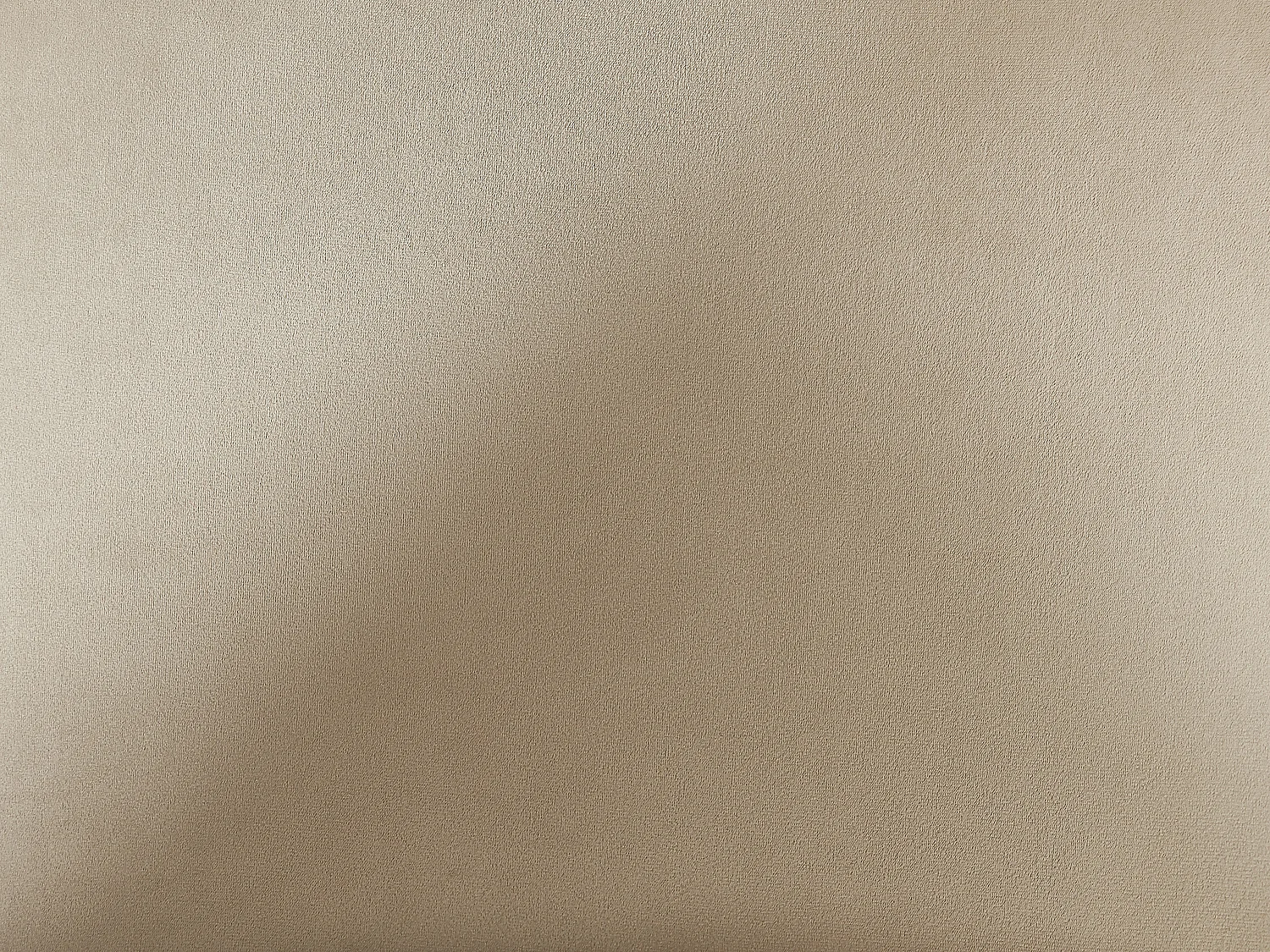 Lot de 2 chaises avec accoudoirs en velours et métal noir - Beige - ORDIDA de Pascal MORABITO