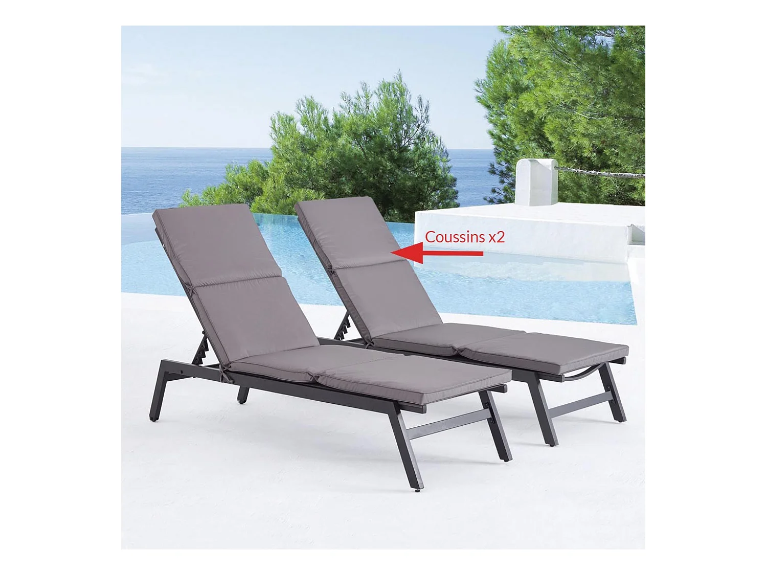 Lot de 2 coussins pour transat gris LUANA