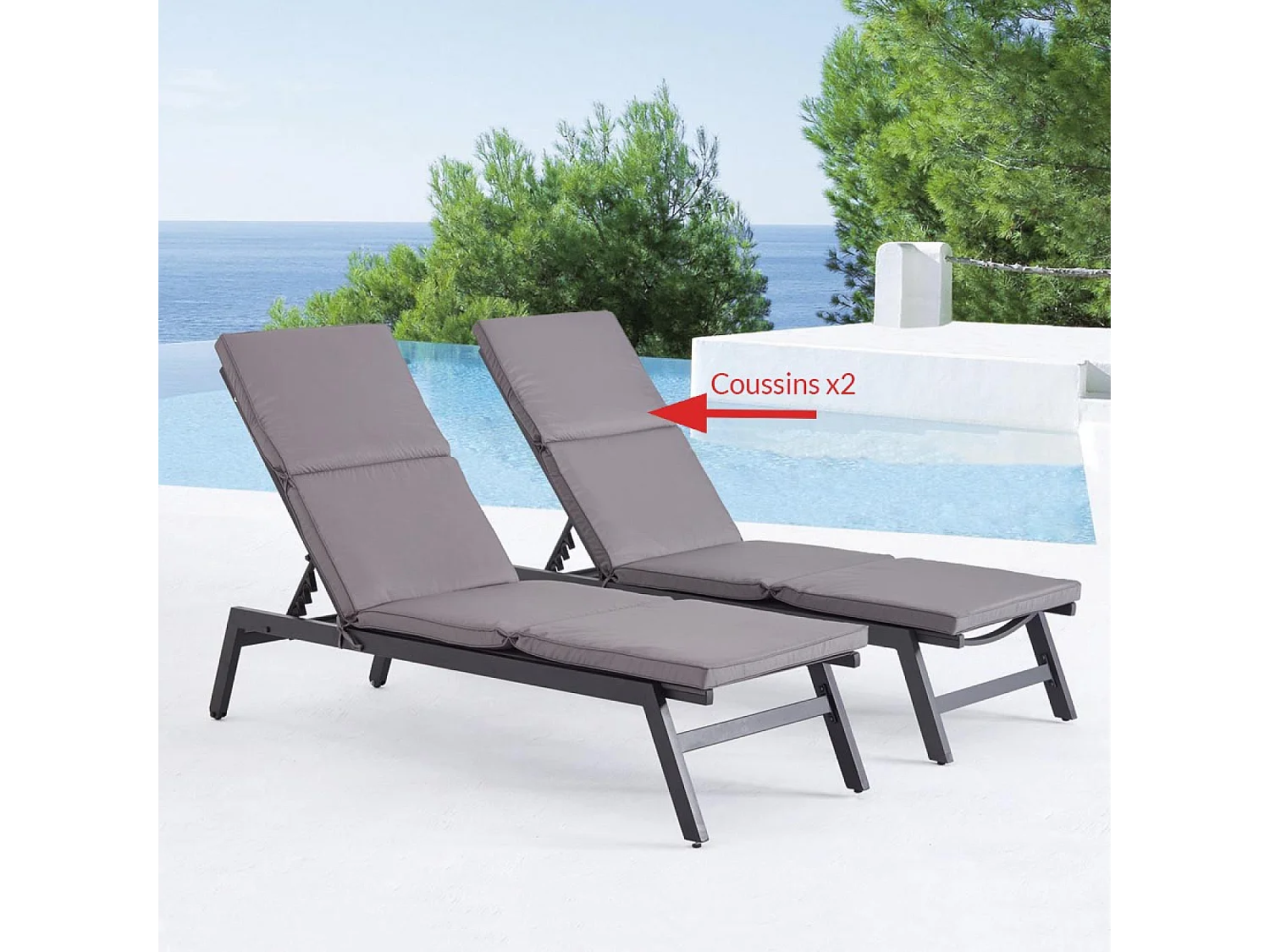 Lot de 2 coussins pour transat gris LUANA