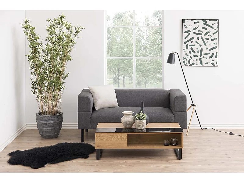 Table basse plateau relevable bois ELA