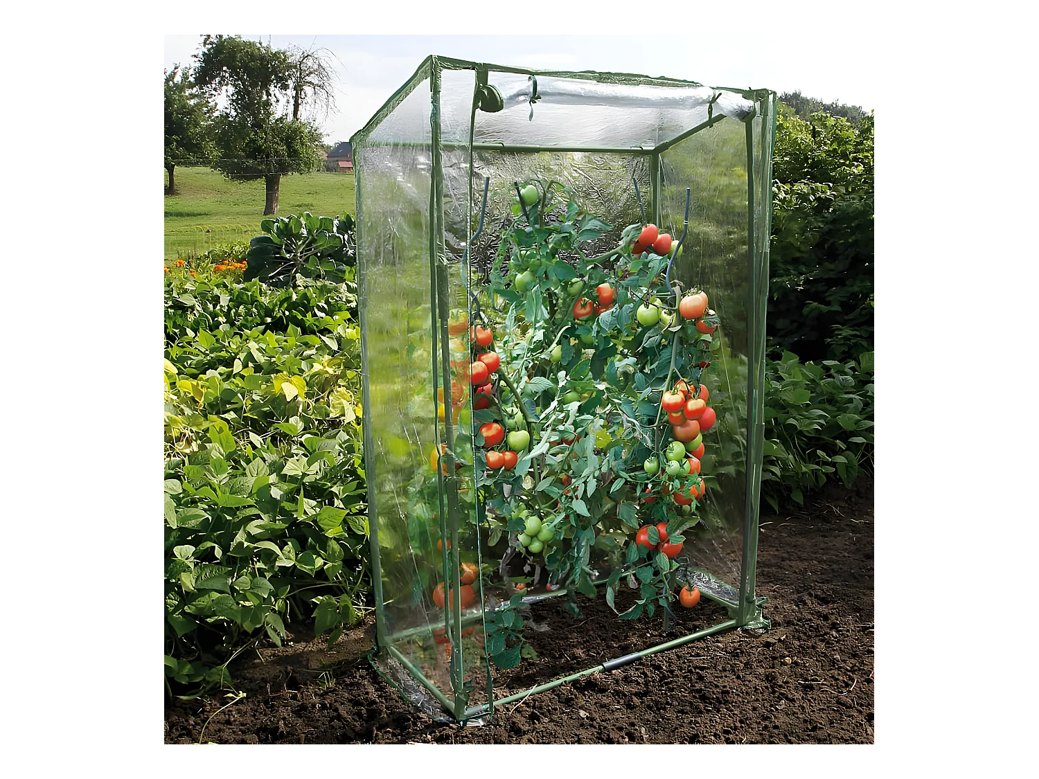 Serre à tomates 100 cm - Nature