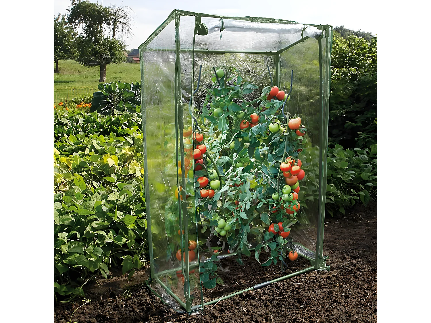 Serre à tomates 100 cm - Nature