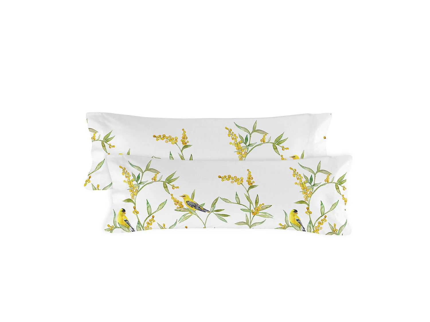 Funda de almohada Cama 180/200 (45x110 (x2) cm) Corniglia
