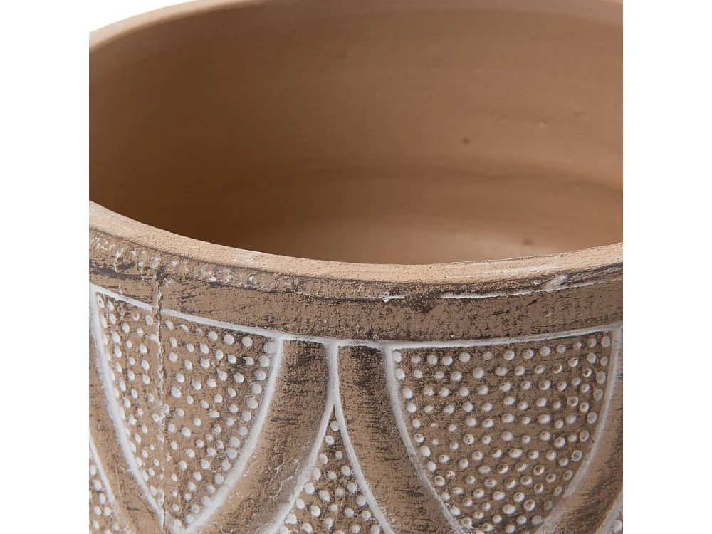 Coupe Marrakech 25 cm