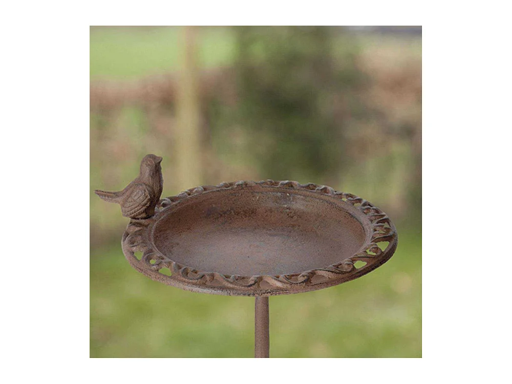 Vogelsamenpastete auf einem Ständer