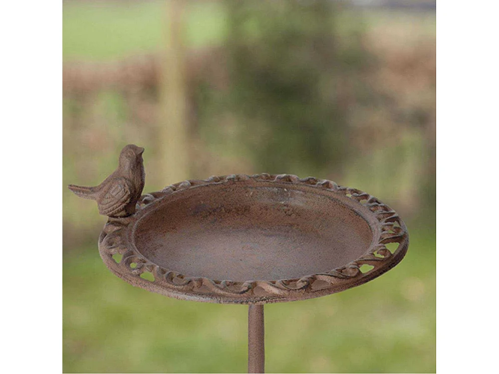 Pastel de semillas para pájaros de pie