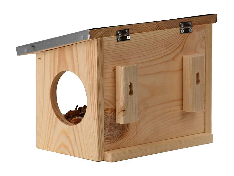 Mangeoire pour écureuils