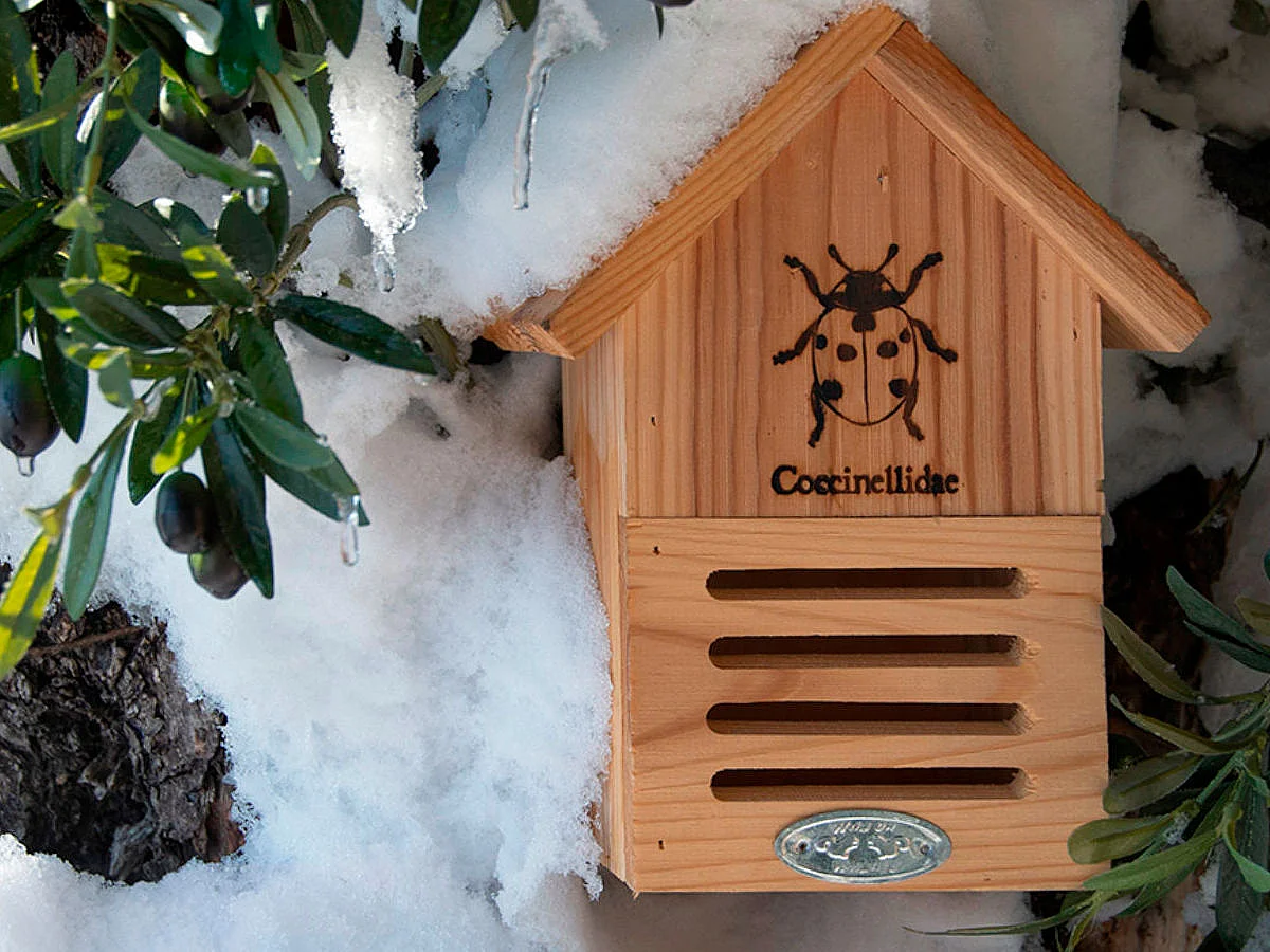 Abri coccinelles silhouette