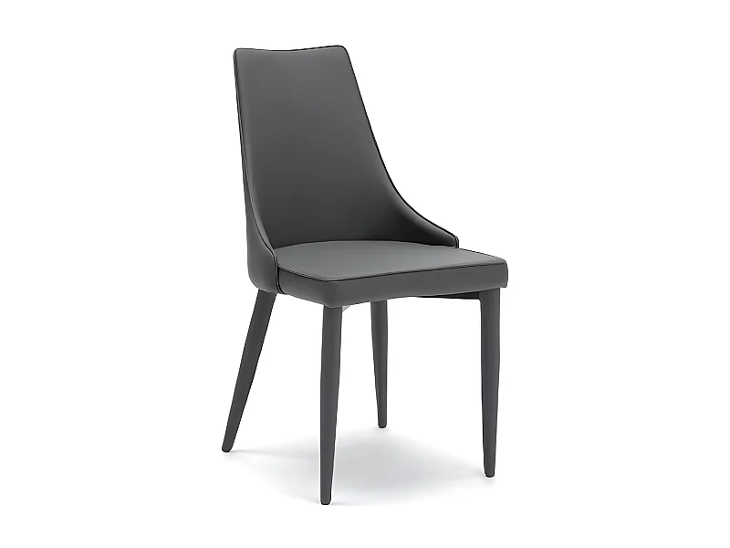 Myriam - Dunkelgrauer Öko-Lederstuhl 2-tlg