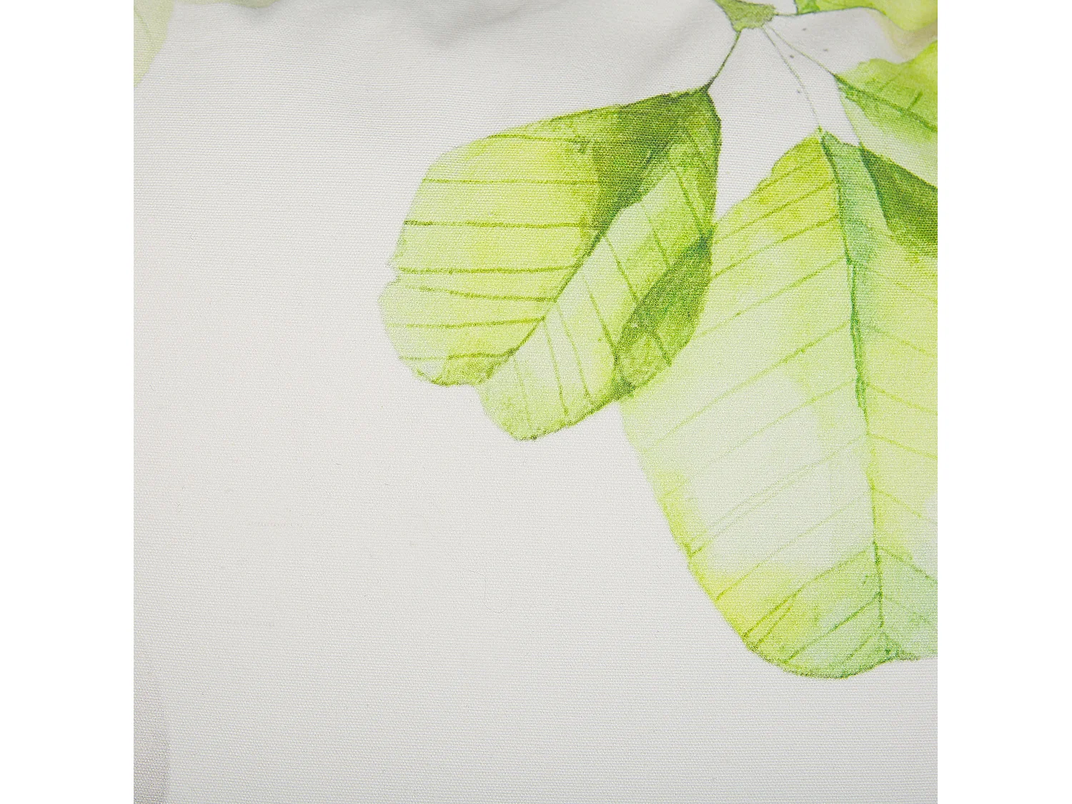 Coussin PEPEROMIA Coton 45 x 45 cm Blanc Motif de plante