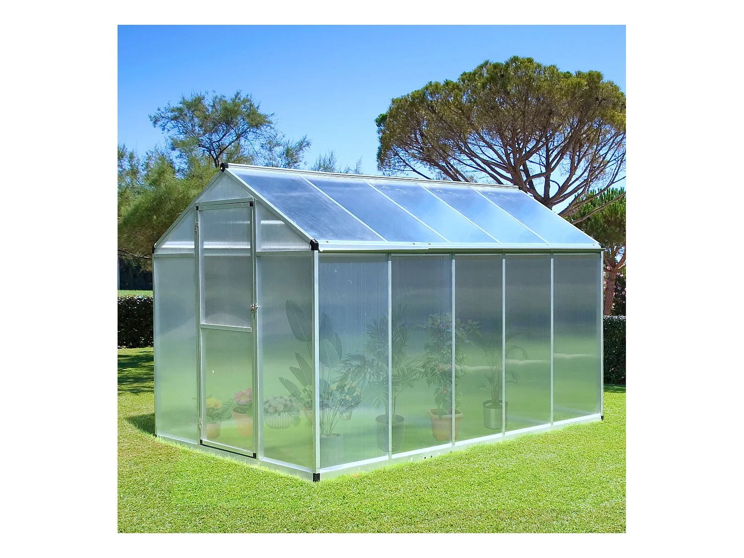 Serre de jardin aluminium polycarbonate 5,5 m² dim. 3,03L x 1,83l x 1,95H m fondation lucarne porte loquet