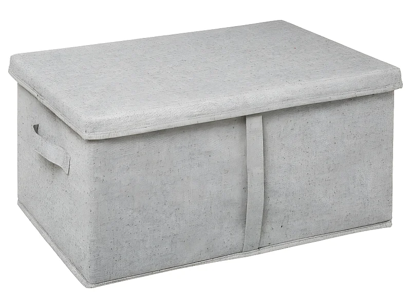 Boîte de Rangement avec couvercle 50 x 31 x 25 cm