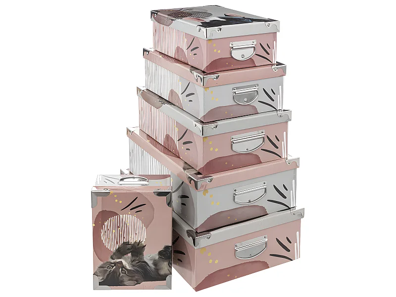 Lot de 6 Boîtes de rangement avec poignées et coins en métal déco Animaux