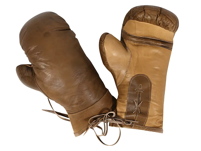 Paire de gants de boxe déco