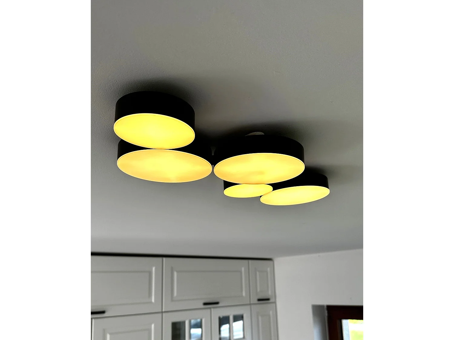 LED Ceiling Lamp LUGA Metal Black
