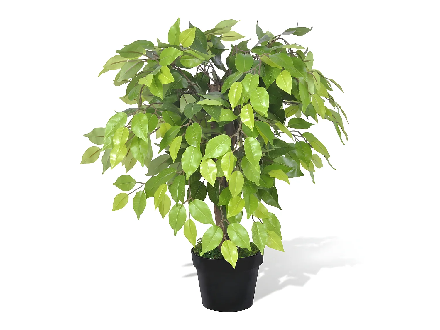 Palmier artificiel plastique avec 17.8 x 17.8 x 60 cm DEC021890