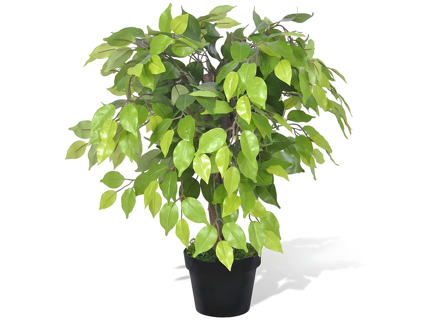 Palmier artificiel plastique avec 17.8 x 17.8 x 60 cm DEC021890