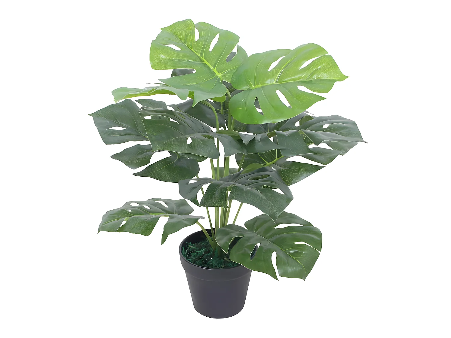 Plante monstera artificielle avec 8.5 x 12.5 x 45 cm DEC021915