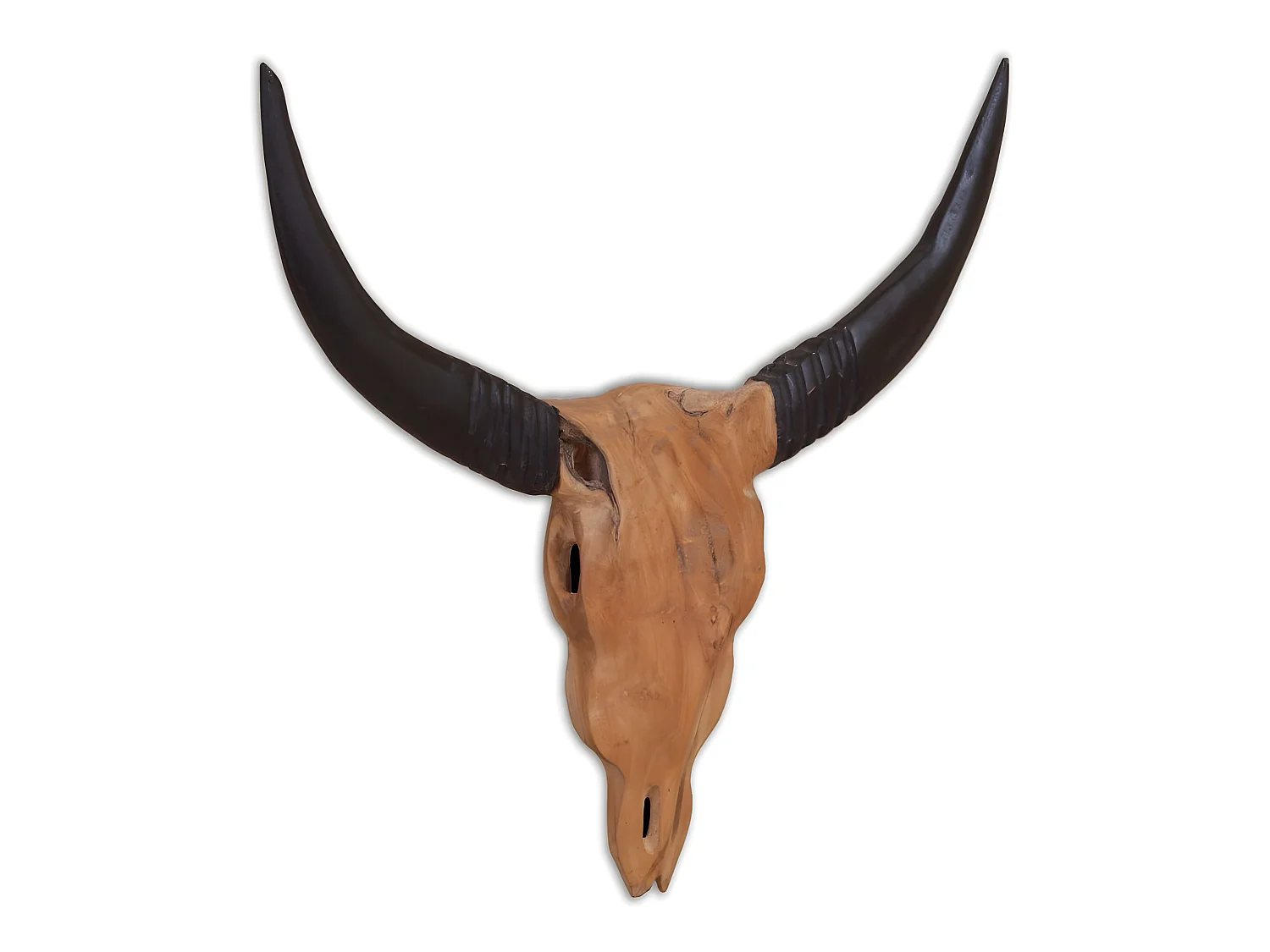 Crâne de taureau mural 69 x 60 x 6 cm DEC023057