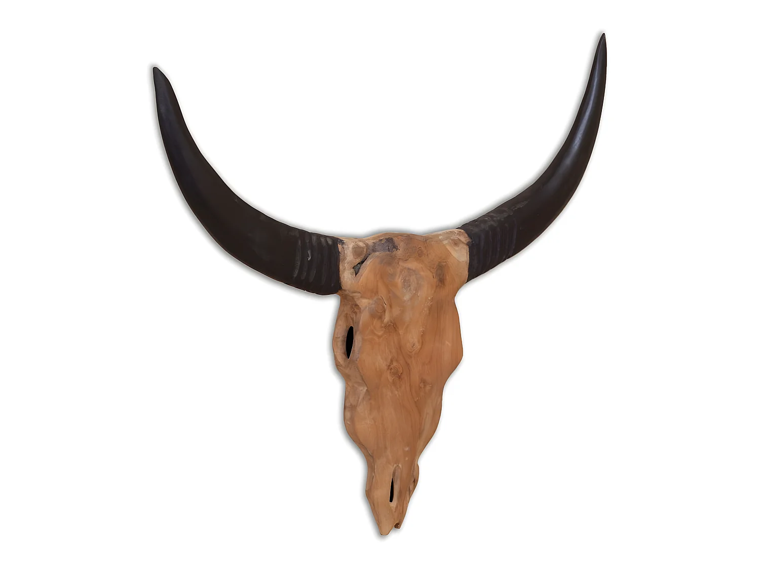 Crâne de taureau mural 69 x 60 x 6 cm DEC023057