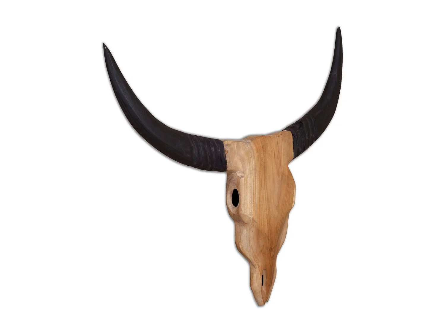 Crâne de taureau mural 69 x 60 x 6 cm DEC023057