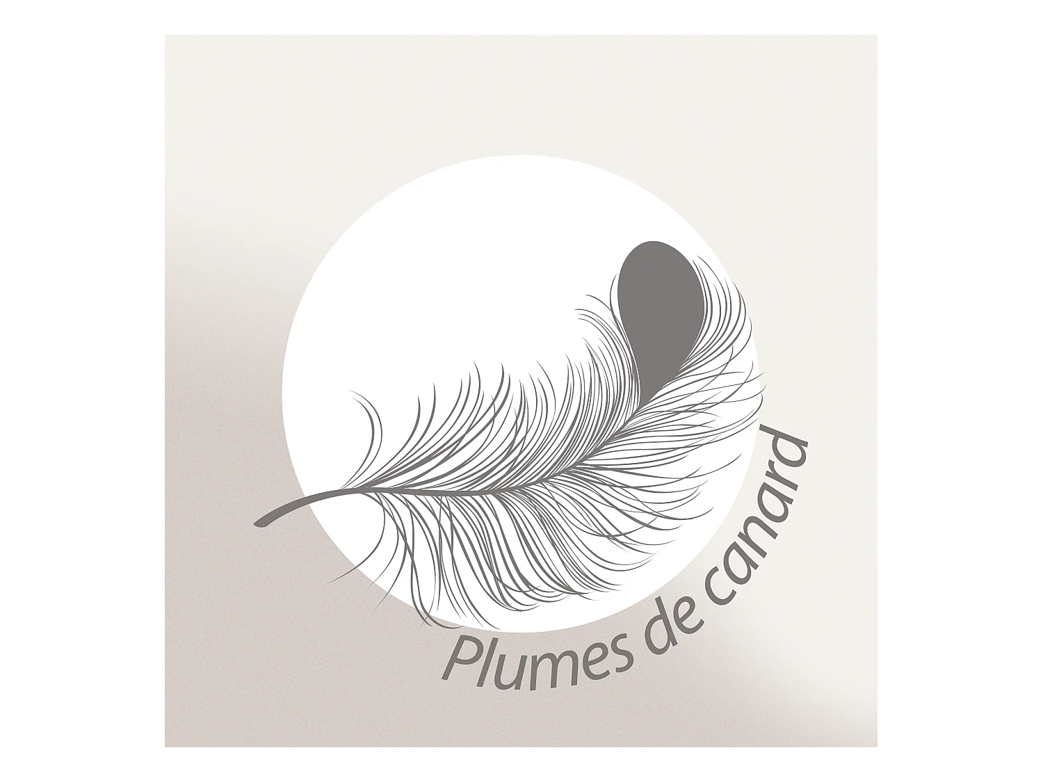 Oreiller 50x50 cm GRIZZ'LIT PLUMES 100% Plumes de Canard