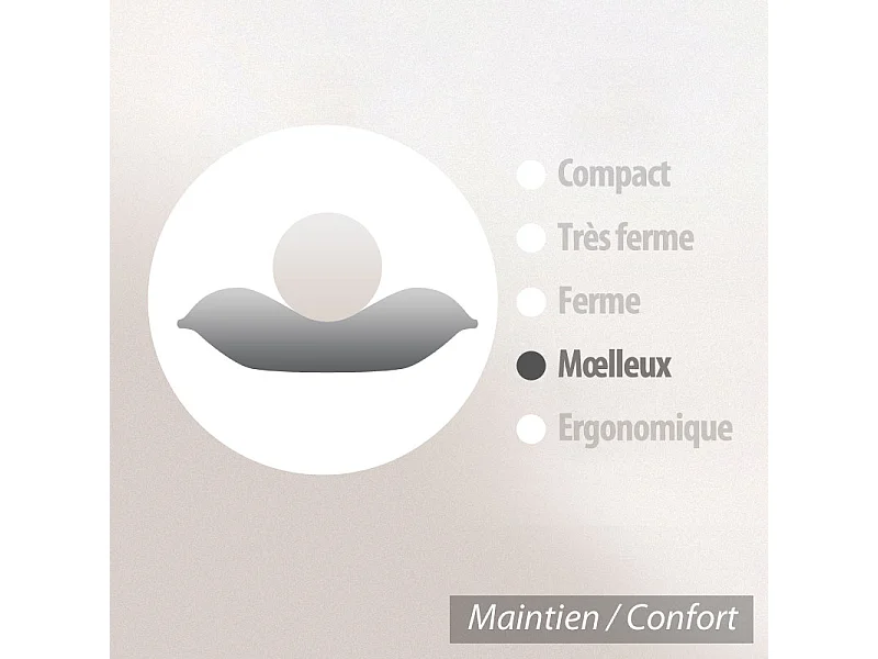 Oreiller 40x40 cm GRIZZ'LIT PLUMES 100% Plumes de Canard