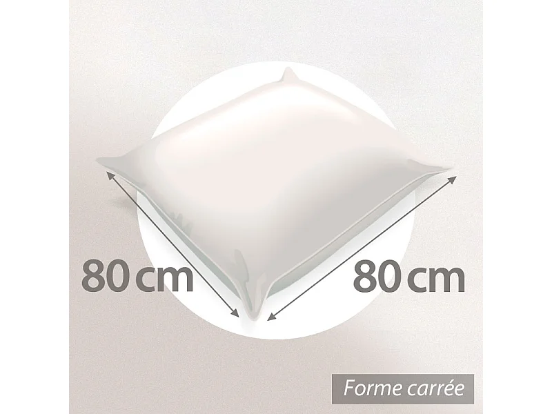 Oreiller 80x80 cm GRIZZ'LIT PLUMES 100% Plumes de Canard