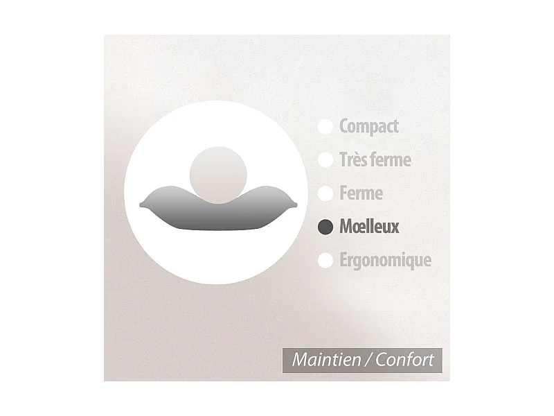 Oreiller 100x80 cm GRIZZ'LIT PLUMES 100% Plumes de Canard