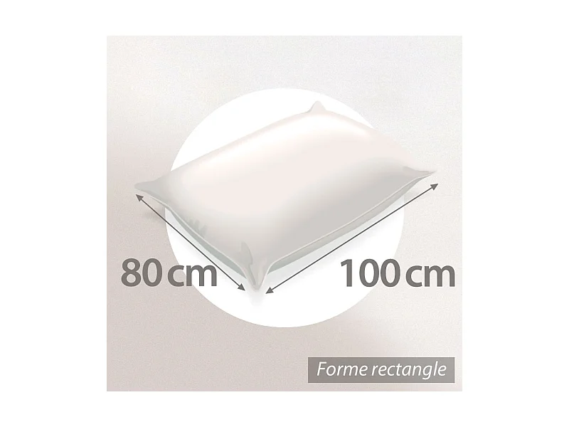 Oreiller 100x80 cm GRIZZ'LIT PLUMES 100% Plumes de Canard