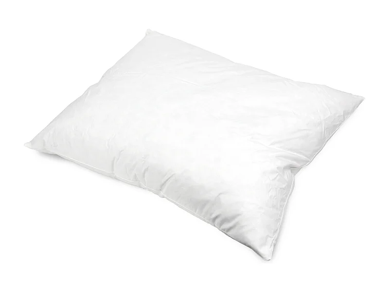 Oreiller 100x80 cm GRIZZ'LIT PLUMES 100% Plumes de Canard