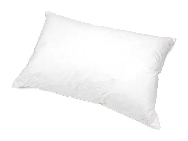 Oreiller 75x50 cm GRIZZ'LIT PLUMES 100% Plumes de Canard