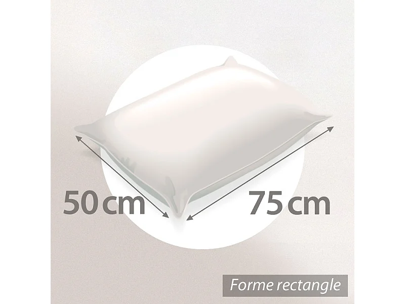 Oreiller 75x50 cm GRIZZ'LIT PLUMES 100% Plumes de Canard