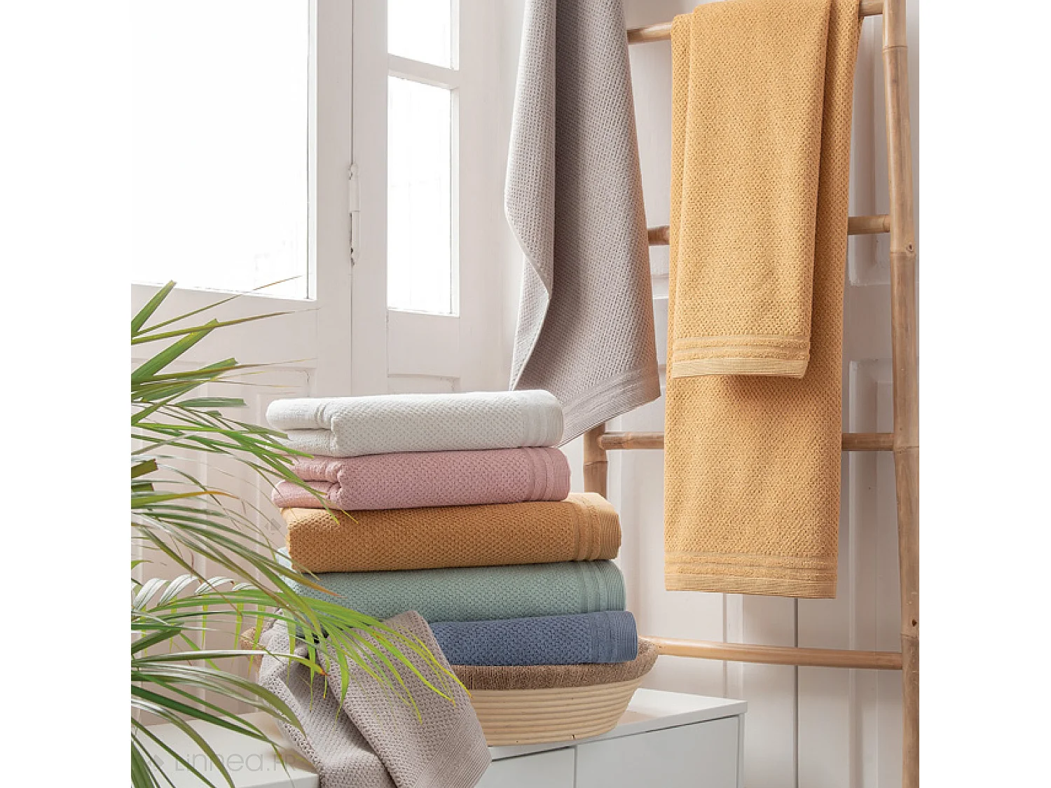 Serviette de toilette 50x100 cm DUNE céladon