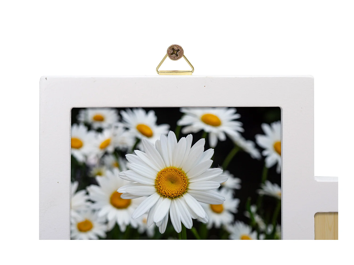 Portafotografie Cornice 12 Foto 10x15 Bianco Mdf 47x60x1,2