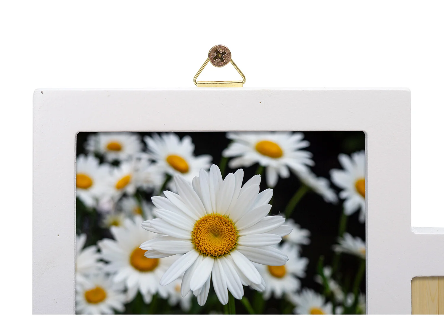 Moldura fotográfica 12 Fotos 10x15 Mdf 47x60x1,2 Branco