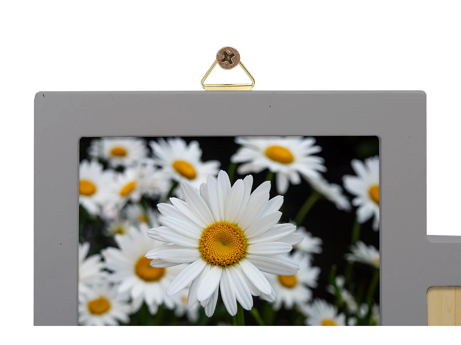 Moldura Multi-Foto Collage 12 Moldura 10x15 Mdf 47x60x1,2