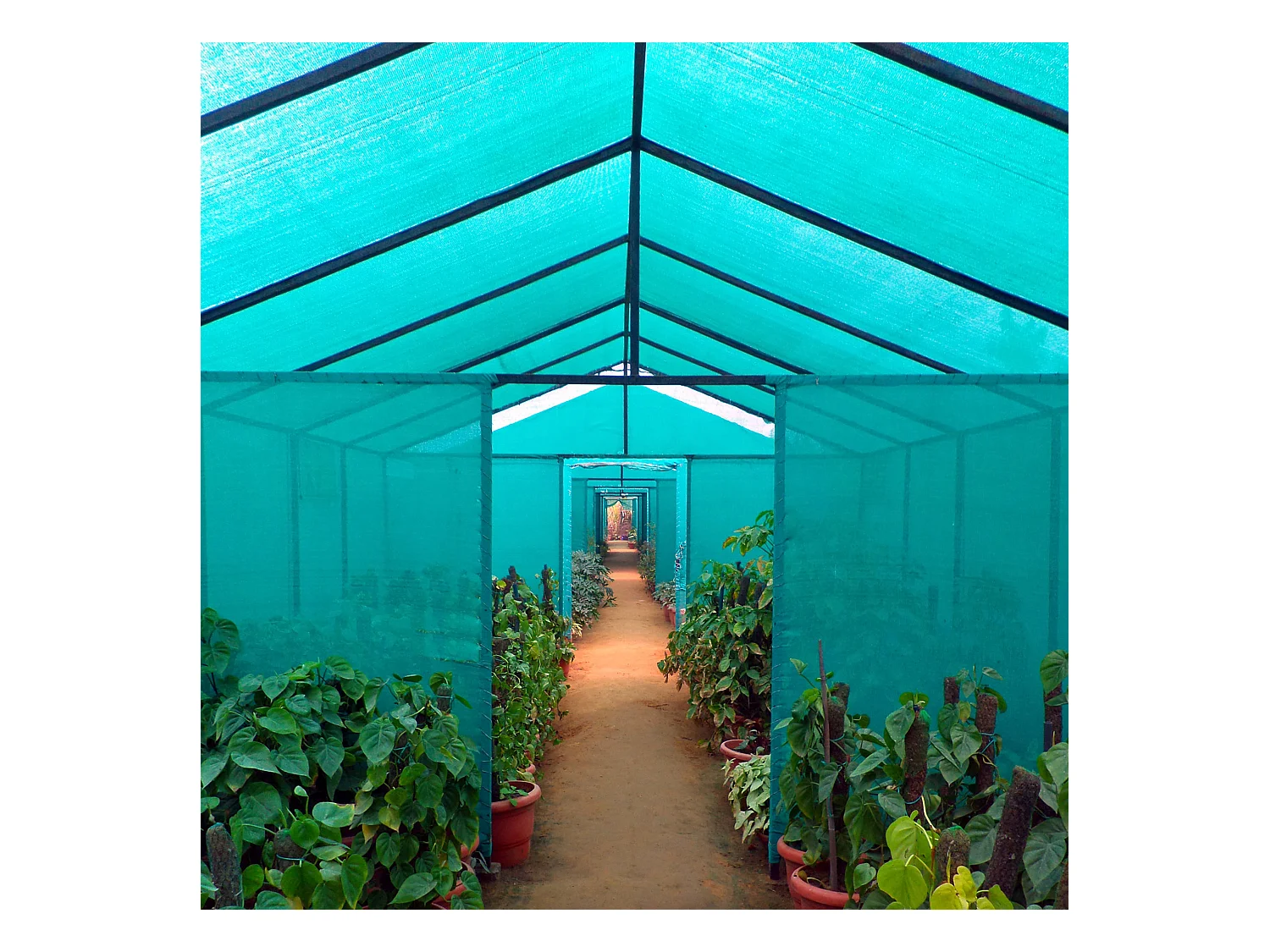 Filet d'ombrage 90% vert Brise-vent extérieur 2x25 mt
