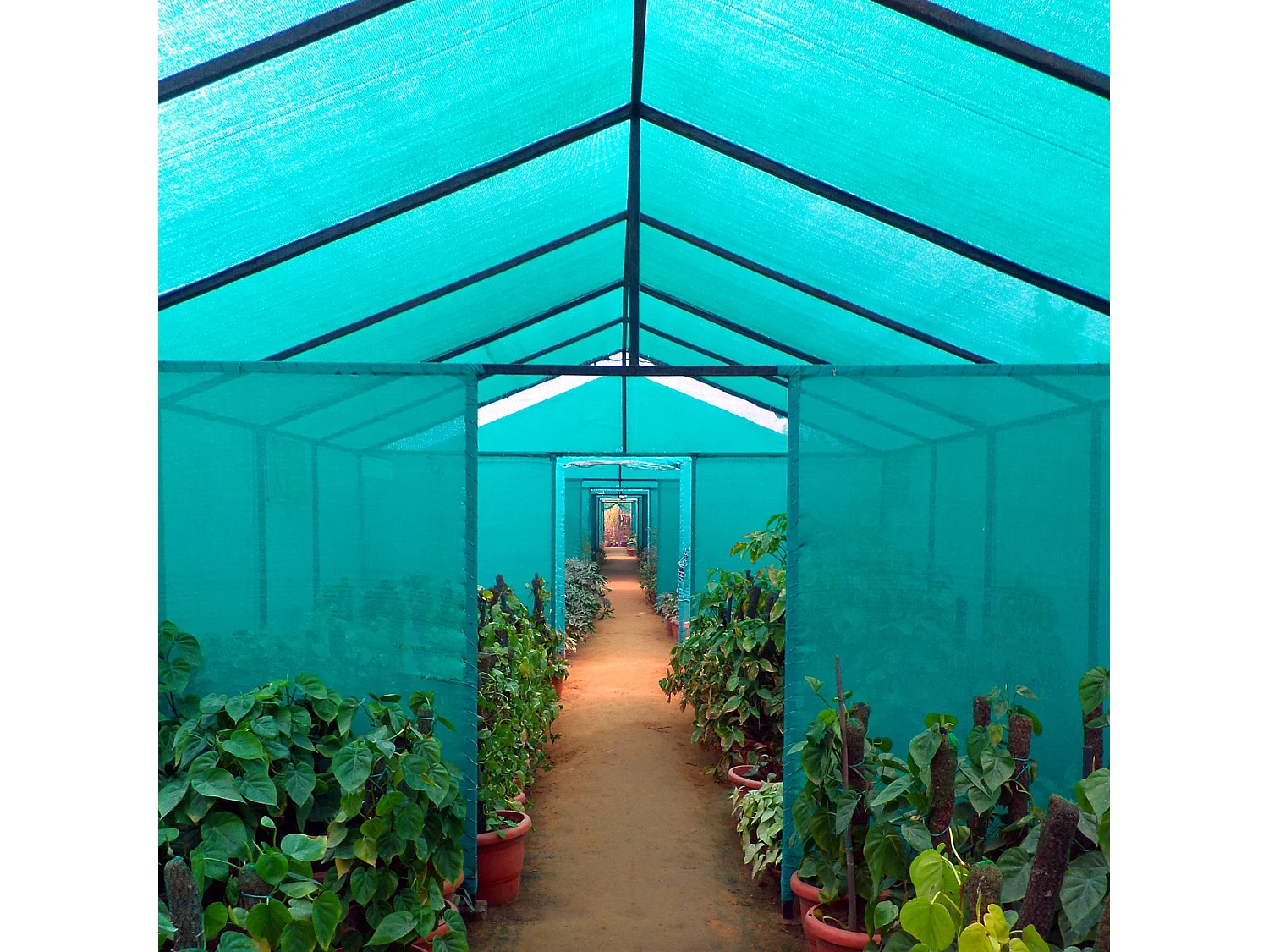 Telo Rete ombreggiante Ombra 90% Frangivista Verde da Giardino 1,5x50 mt