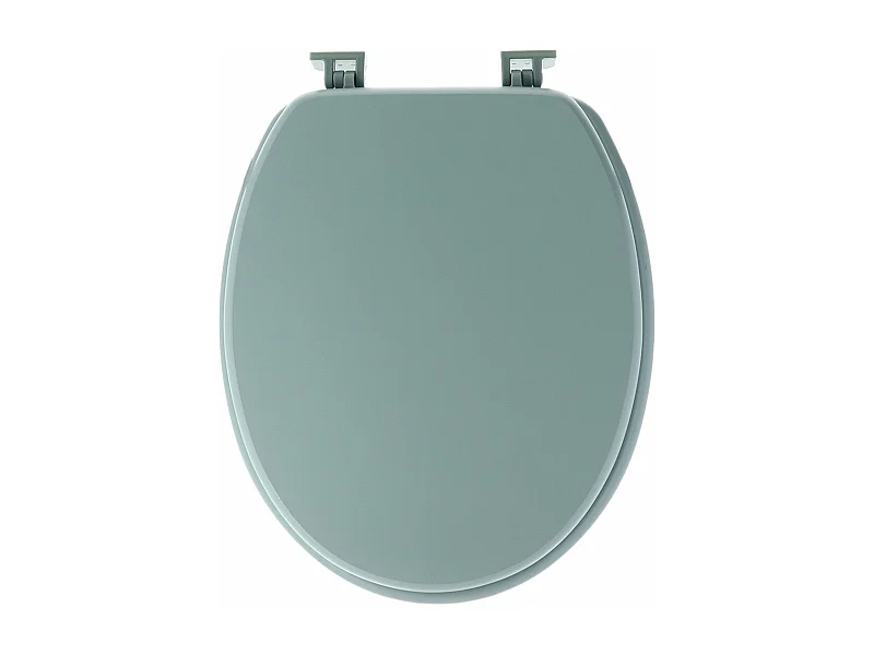 Abattant WC  en Bois Vert amande avec kit de fixation