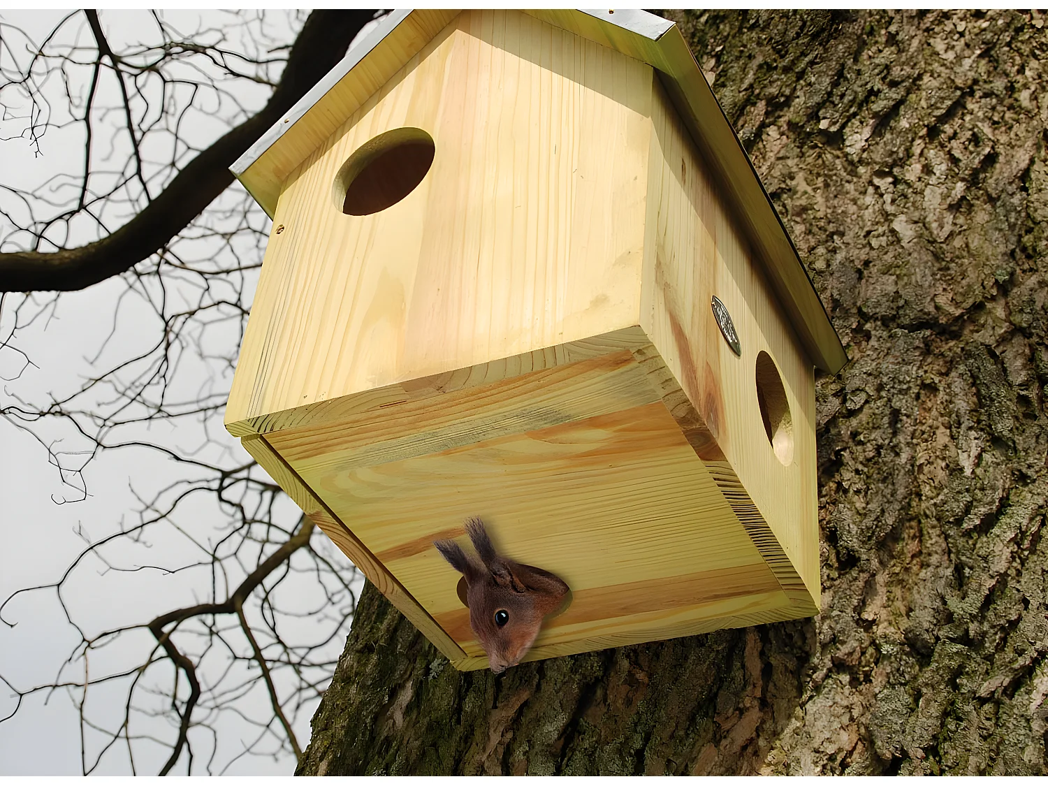 Abri à écureuil - Jardin