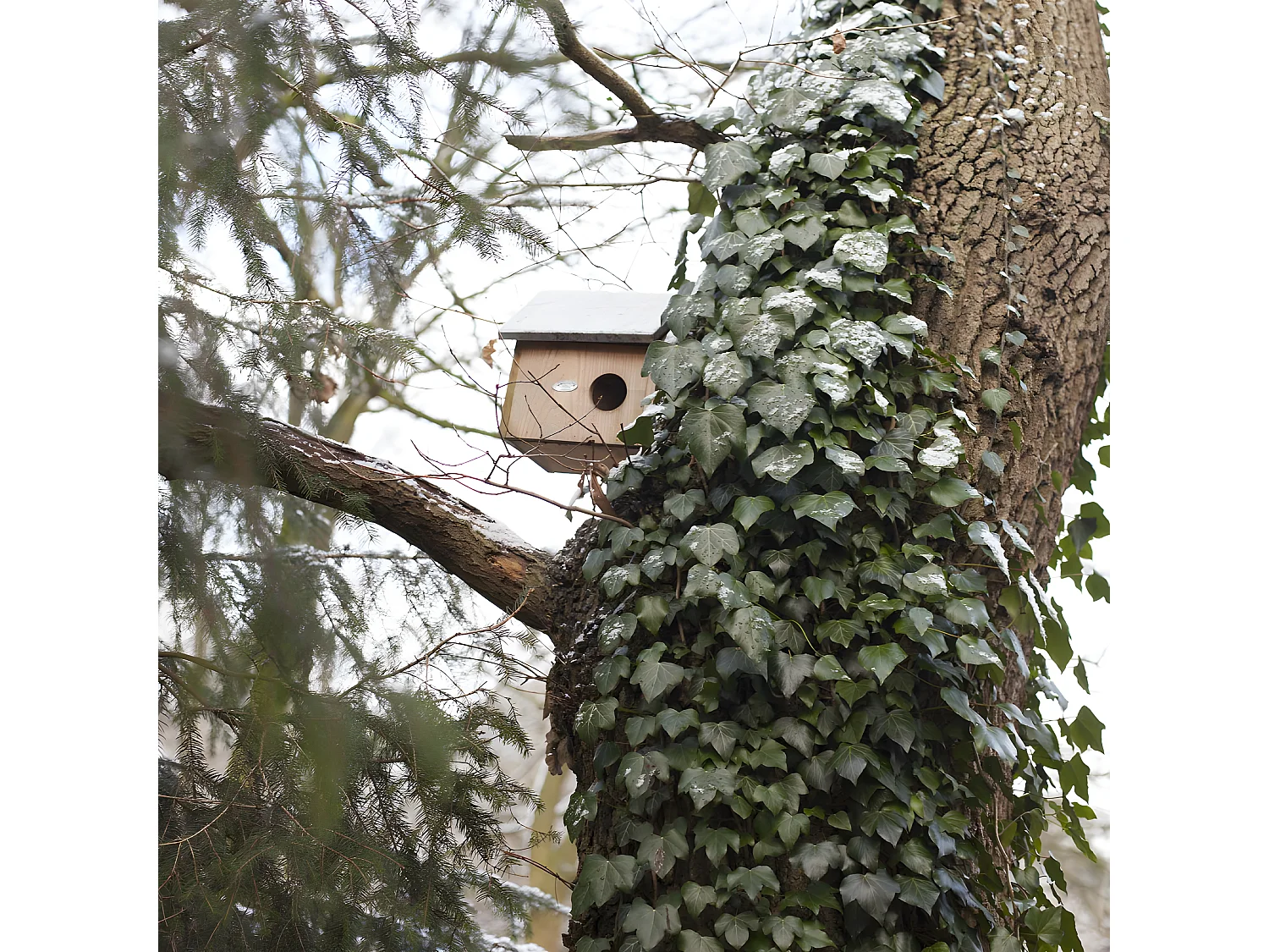 Abri à écureuil - Jardin